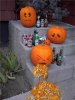 Drunk_pumpkin.jpg