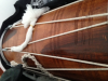 my future dhol.png
